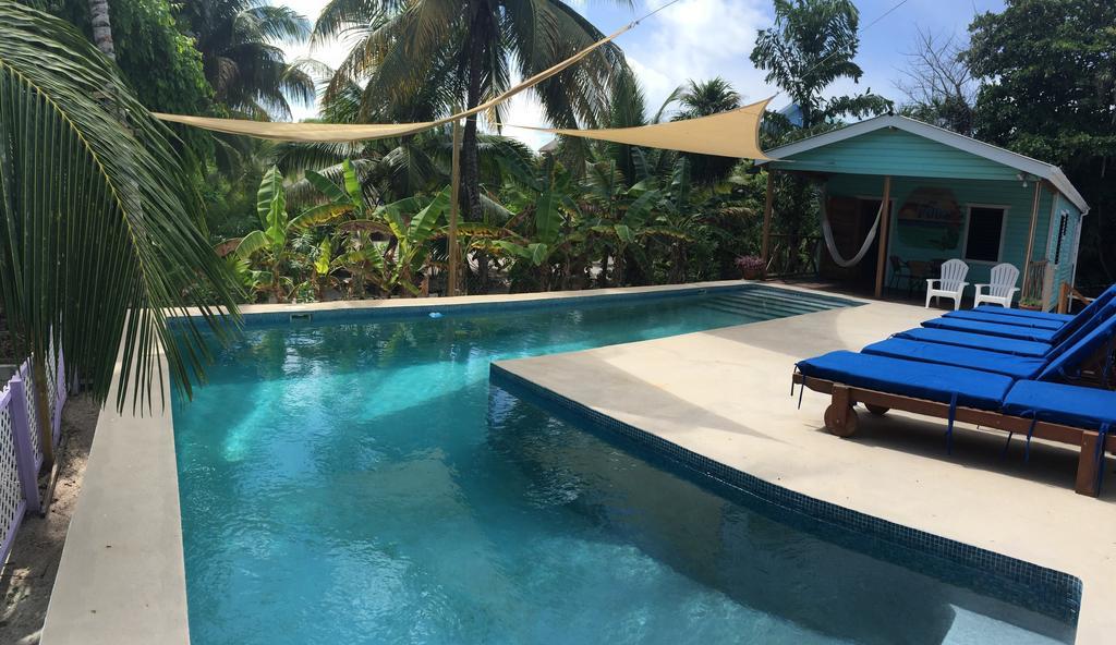 Hummingbirds Cabins Caye Caulker Εξωτερικό φωτογραφία