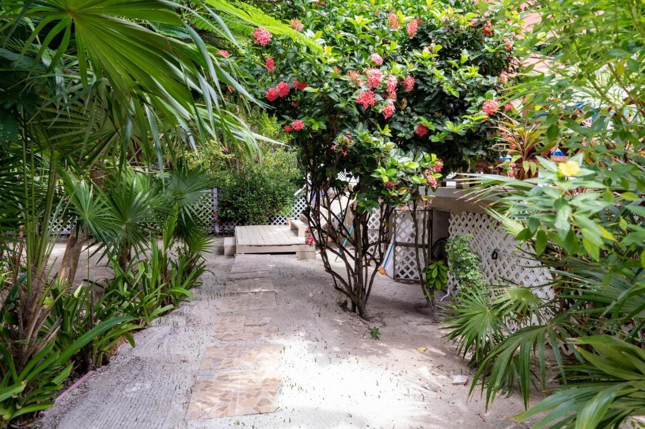 Hummingbirds Cabins Caye Caulker Εξωτερικό φωτογραφία